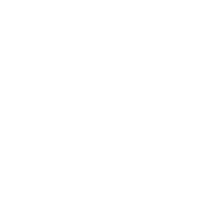 Icône