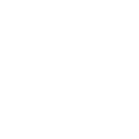 Icône